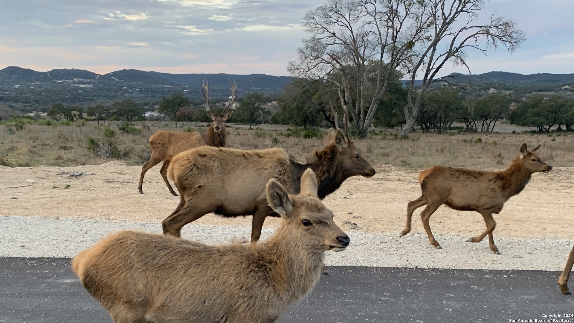 Lot 56 Red Stag Lane Pipe Creek TX 78063