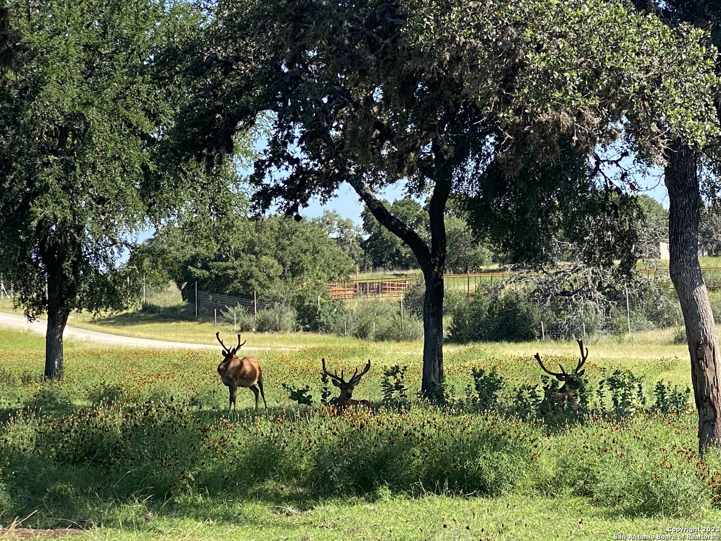 Lot 56 Red Stag Lane Pipe Creek TX 78063