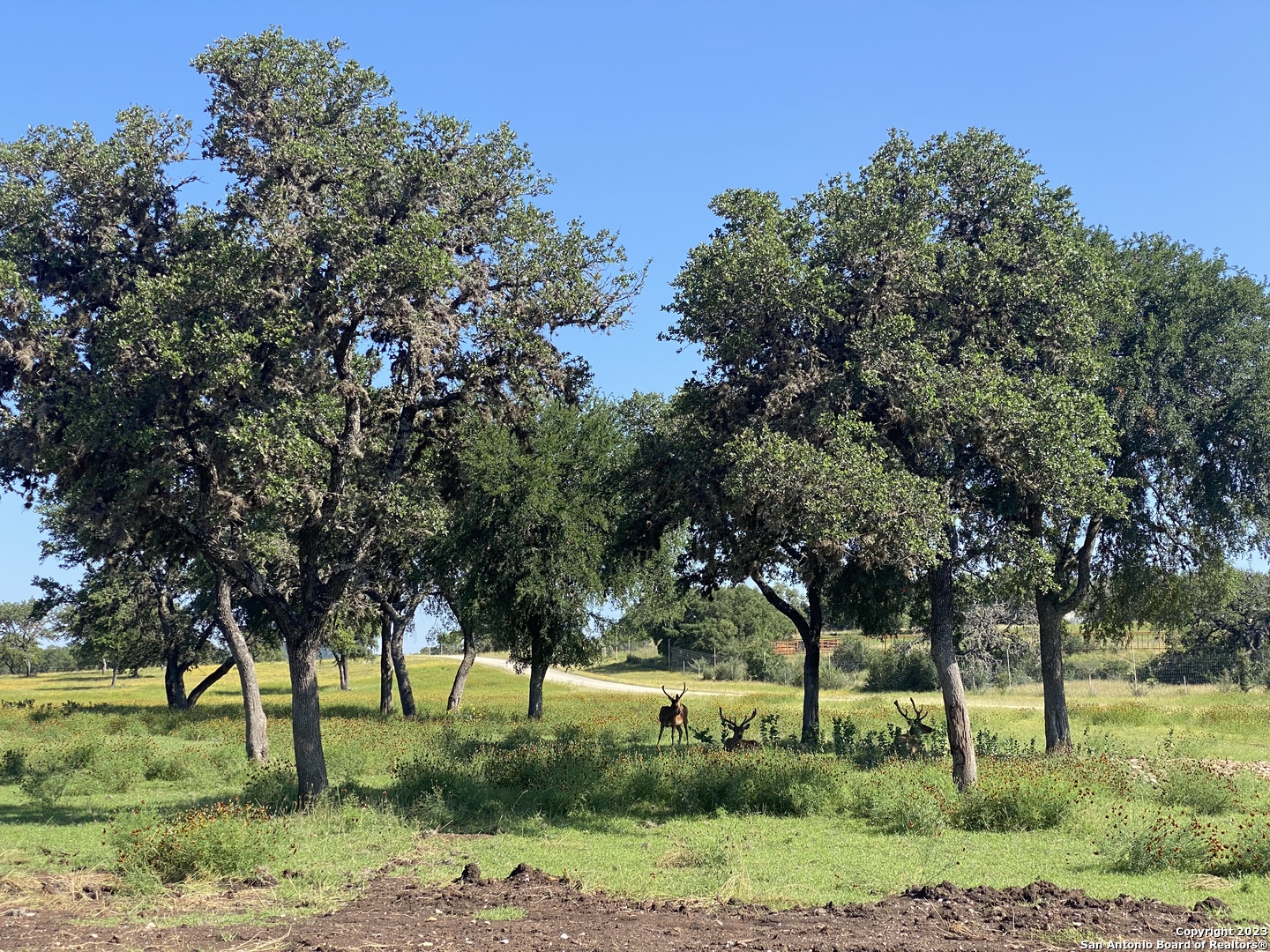 Lot 56 Red Stag Lane Pipe Creek TX 78063