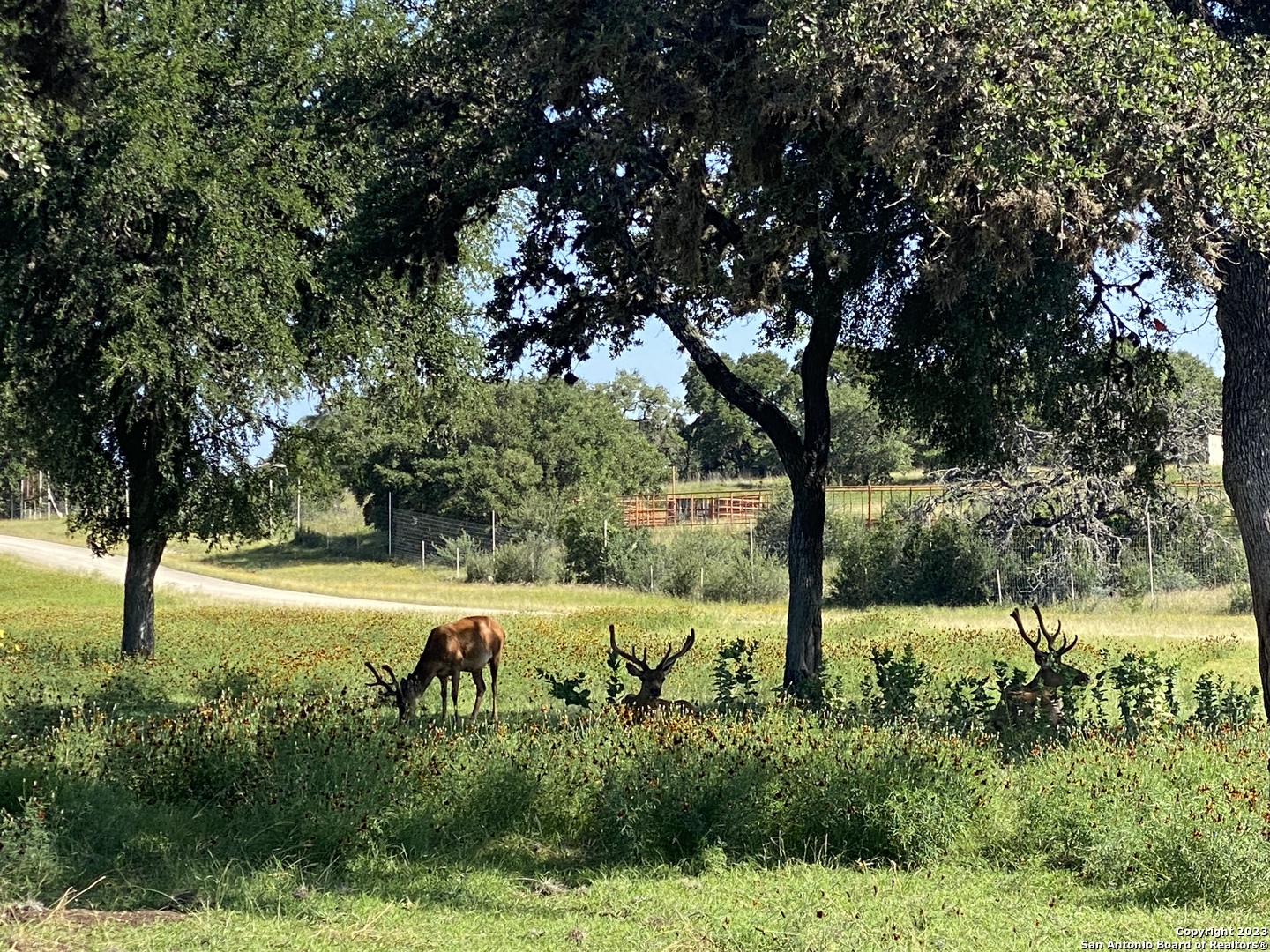 Lot 56 Red Stag Lane Pipe Creek TX 78063
