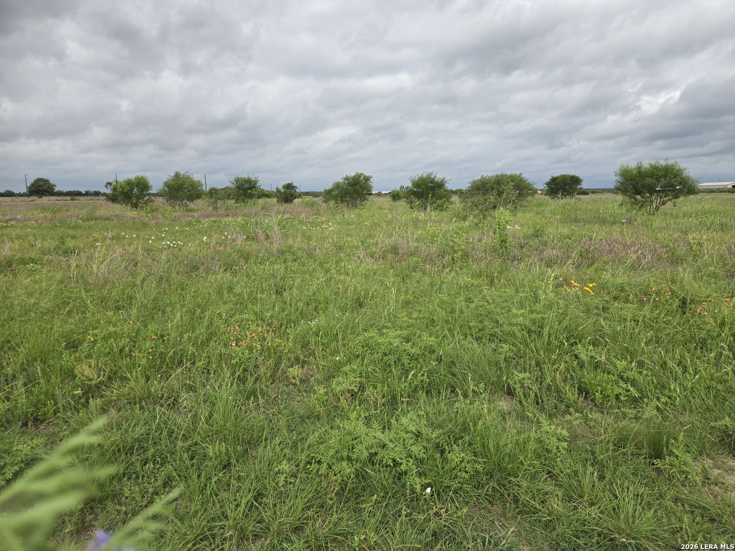 000 Highway 173 San Antonio TX 78861