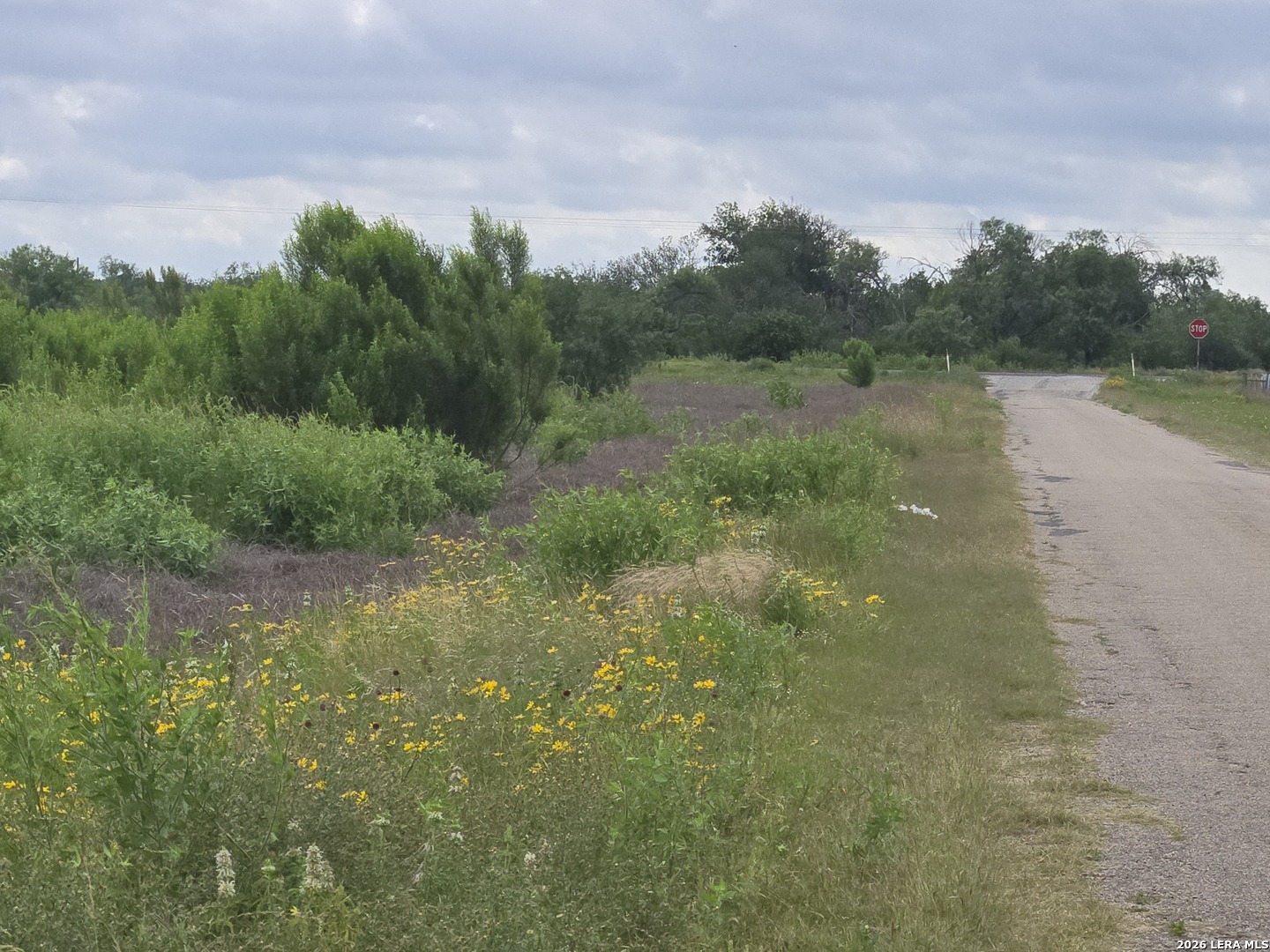 000 Highway 173 San Antonio TX 78861