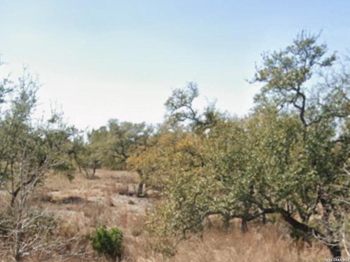26319 Quail Grove Lane Boerne TX 78006