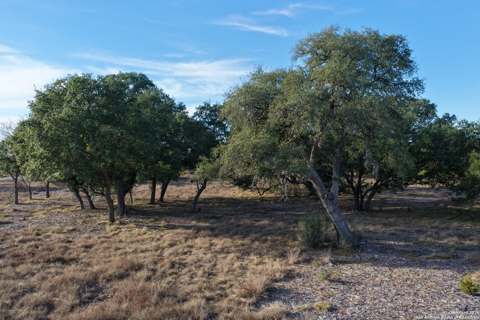 Parcel 1 Rio Lantana Drive Pipe Creek TX 78063