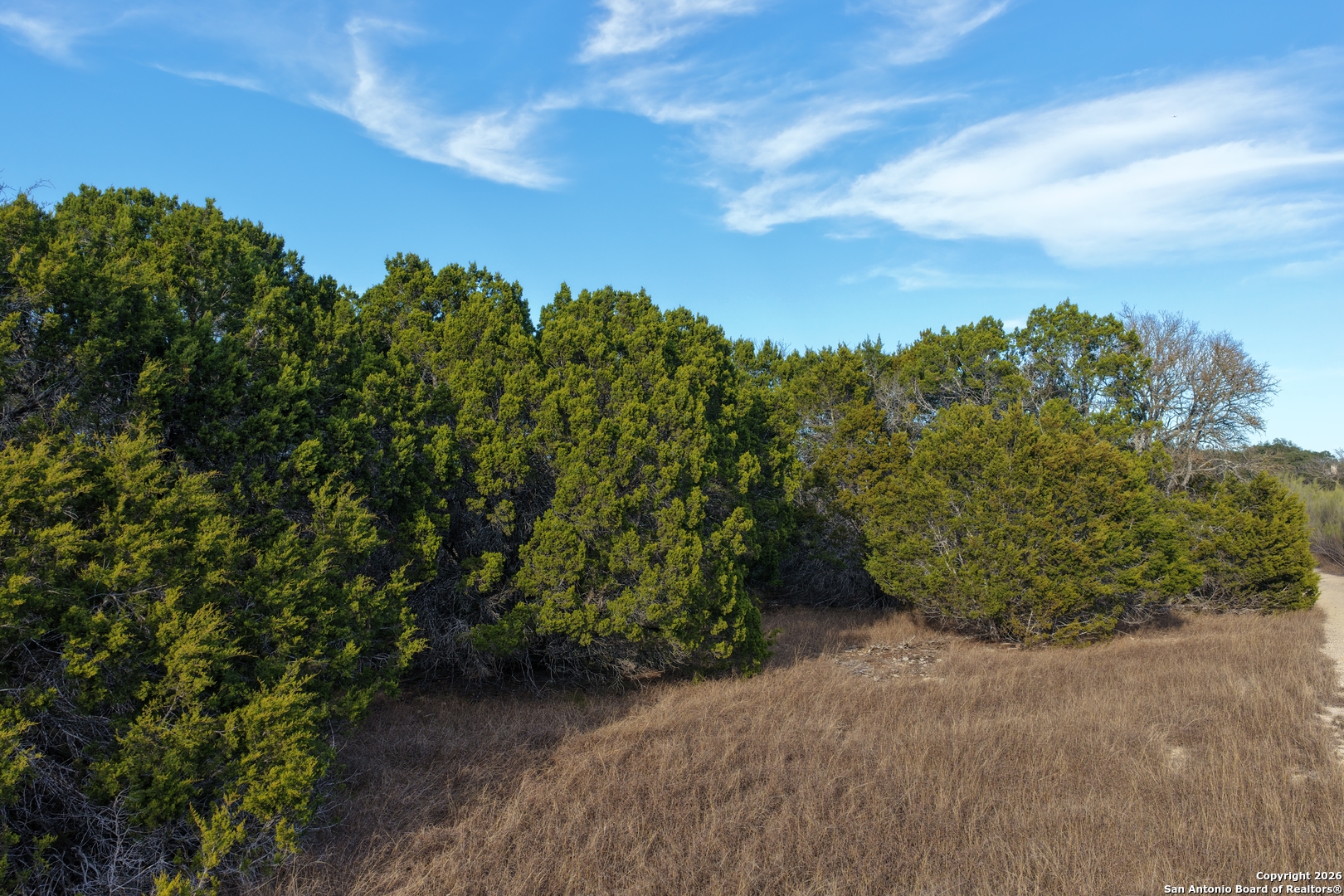 Parcel 1 Rio Lantana Drive Pipe Creek TX 78063