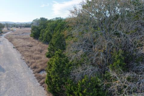 Parcel 1 Rio Lantana Drive Pipe Creek TX 78063