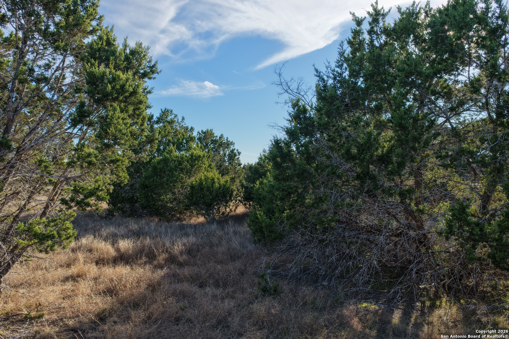 Parcel 1 Rio Lantana Drive Pipe Creek TX 78063