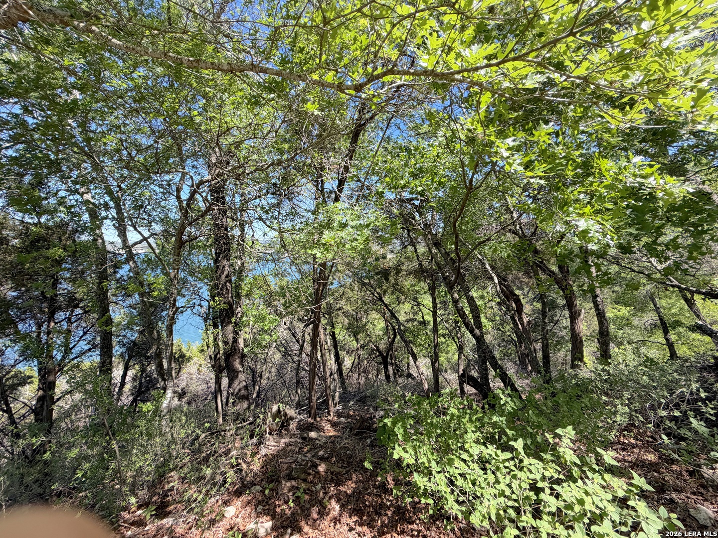 1345 Larson Canyon Lake TX 78133