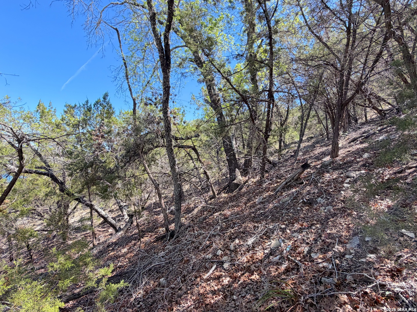 1345 Larson Canyon Lake TX 78133