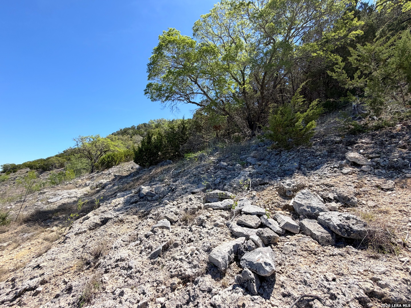 1345 Larson Canyon Lake TX 78133