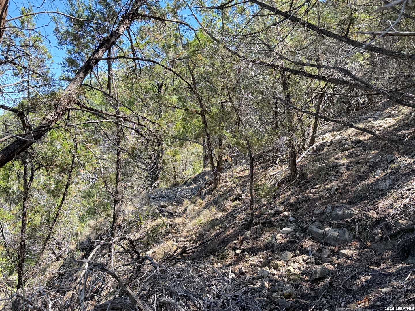 1345 Larson Canyon Lake TX 78133