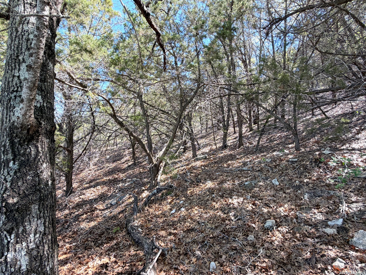 1345 Larson Canyon Lake TX 78133
