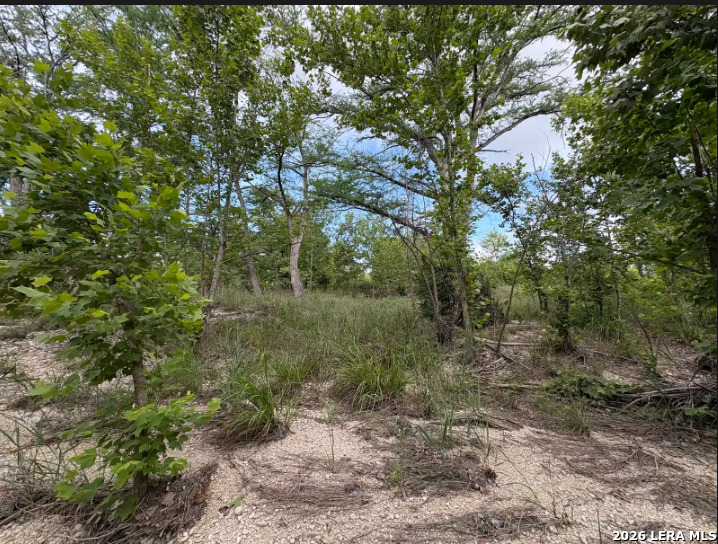 Tract 30 Highway 16 N Medina TX 78005