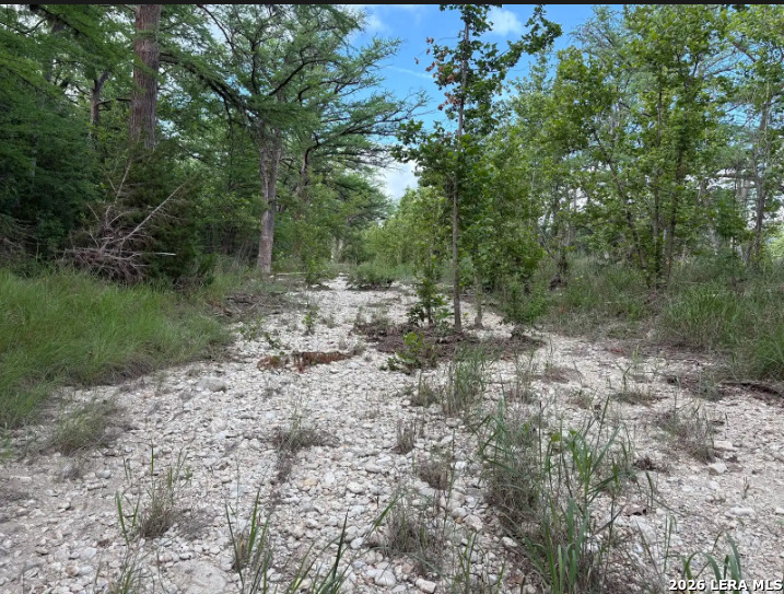 Tract 30 Highway 16 N Medina TX 78005