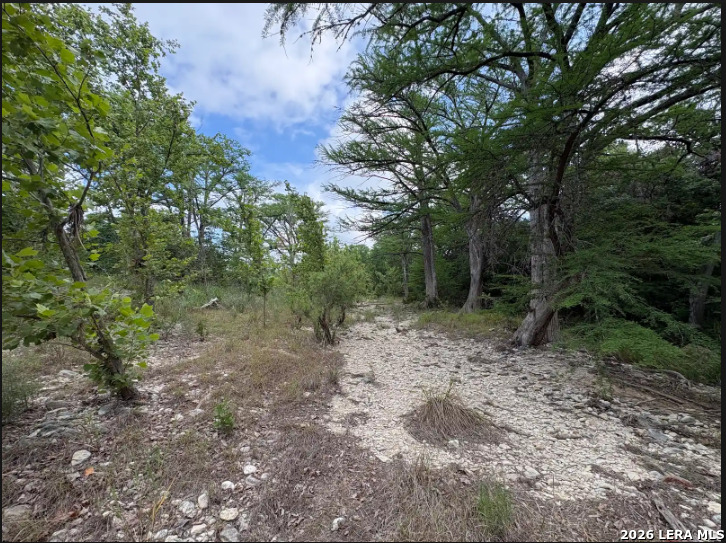 Tract 30 Highway 16 N Medina TX 78005