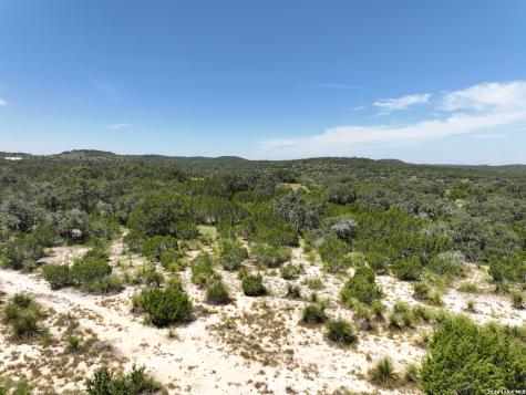 1448 Crabapple Road Blanco TX 78606
