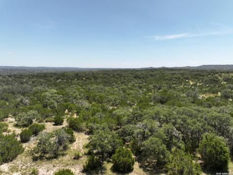 1448 Crabapple Road Blanco TX 78606