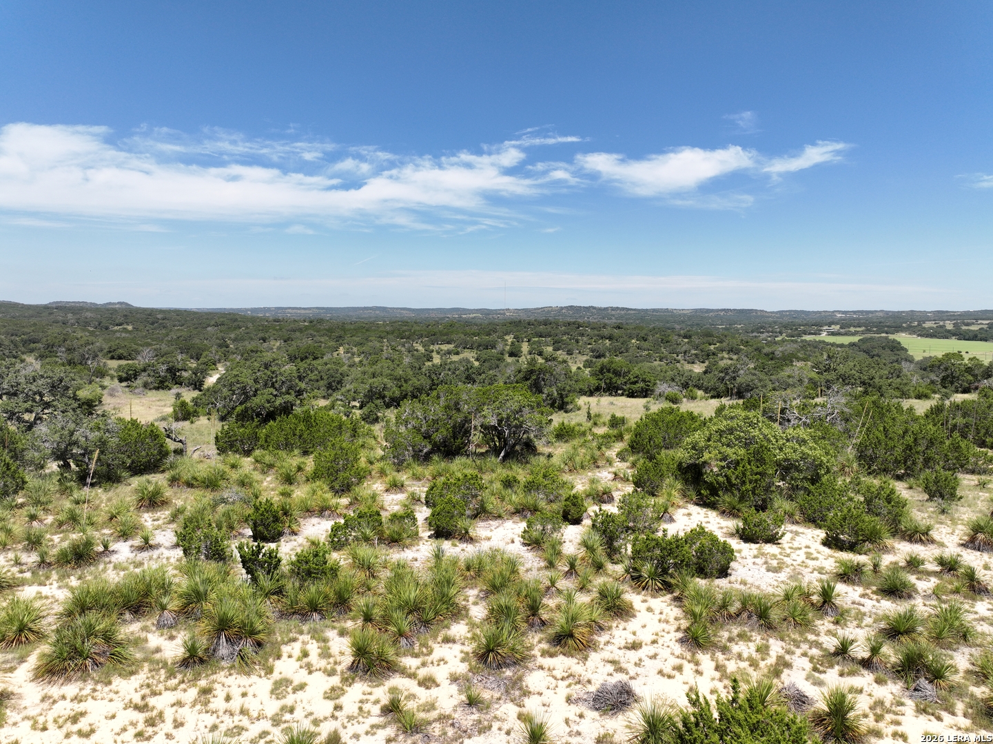 1448 Crabapple Road Blanco TX 78606