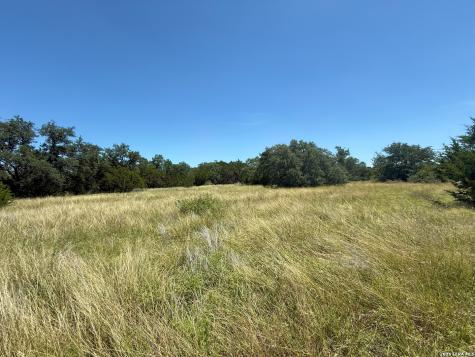 1448 Crabapple Road Blanco TX 78606
