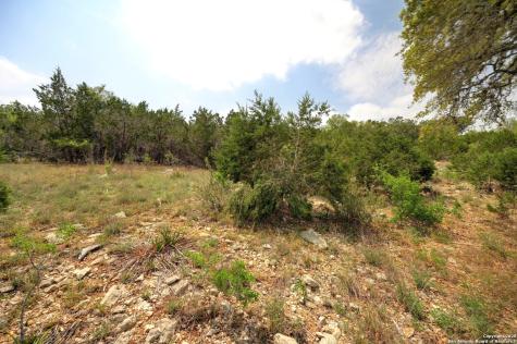 2231 San Jose Canyon Lake TX 78133
