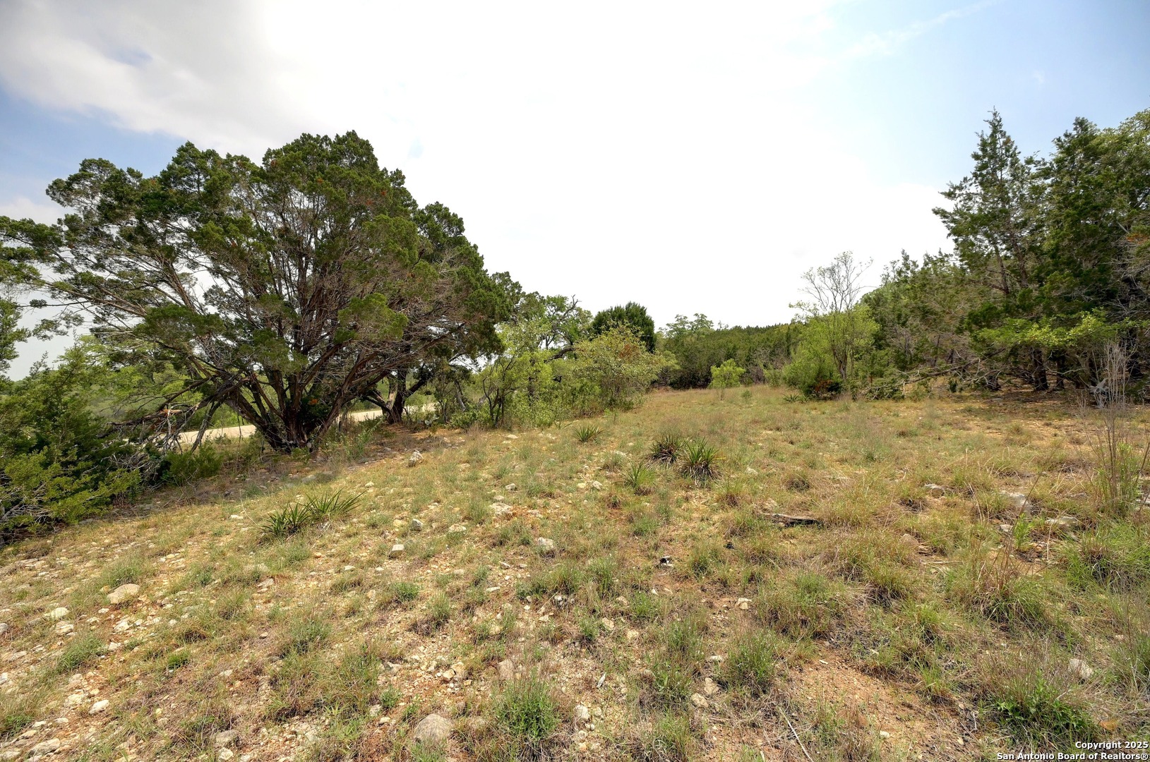 2231 San Jose Canyon Lake TX 78133