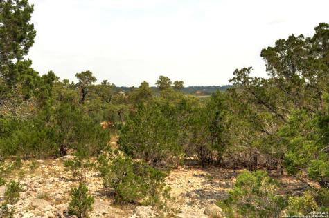 2231 San Jose Canyon Lake TX 78133
