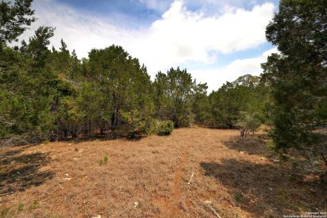 2231 San Jose Canyon Lake TX 78133