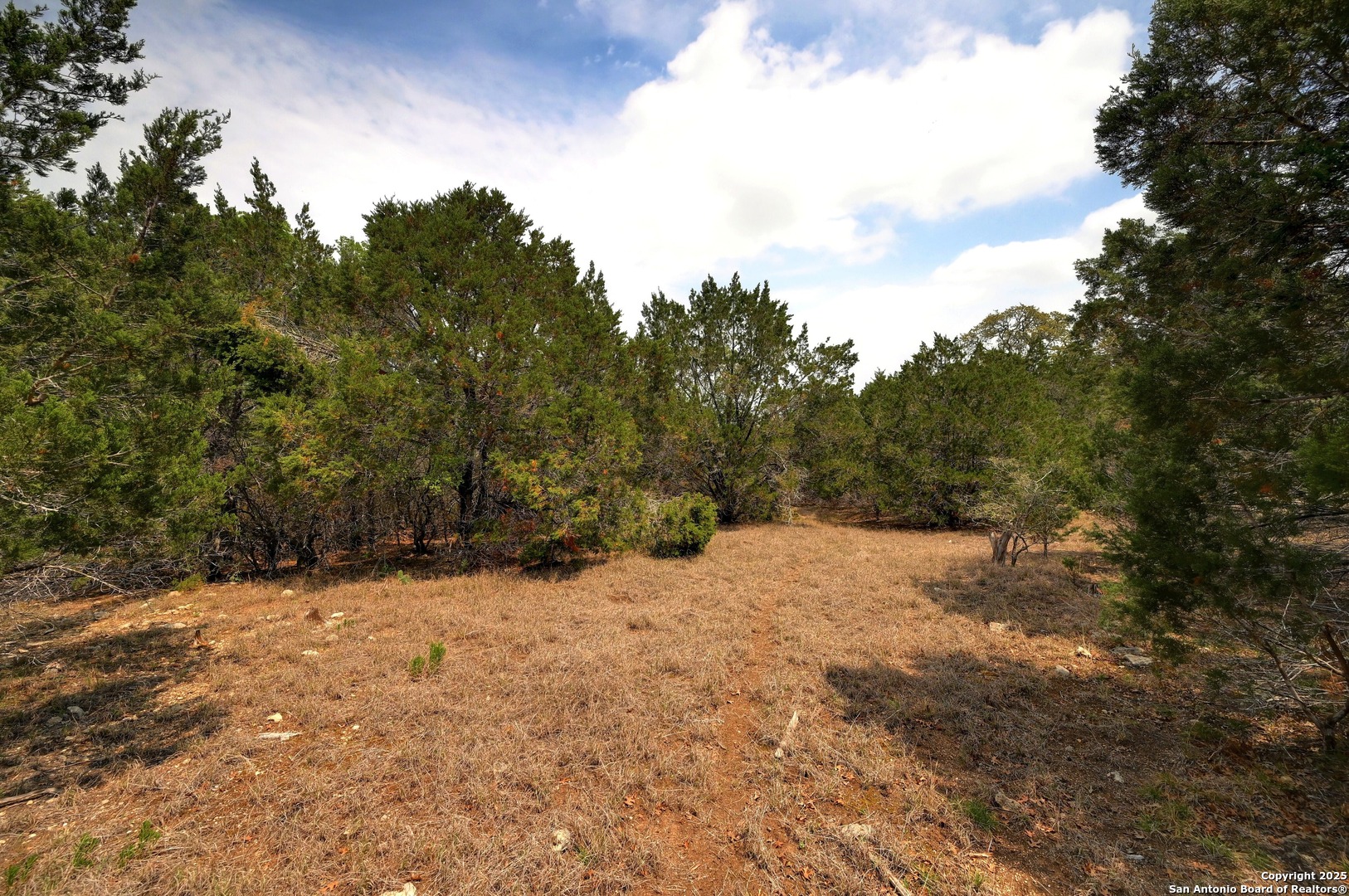 2231 San Jose Canyon Lake TX 78133