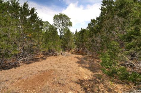 2231 San Jose Canyon Lake TX 78133