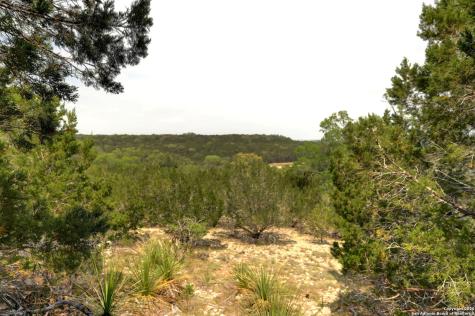 2231 San Jose Canyon Lake TX 78133