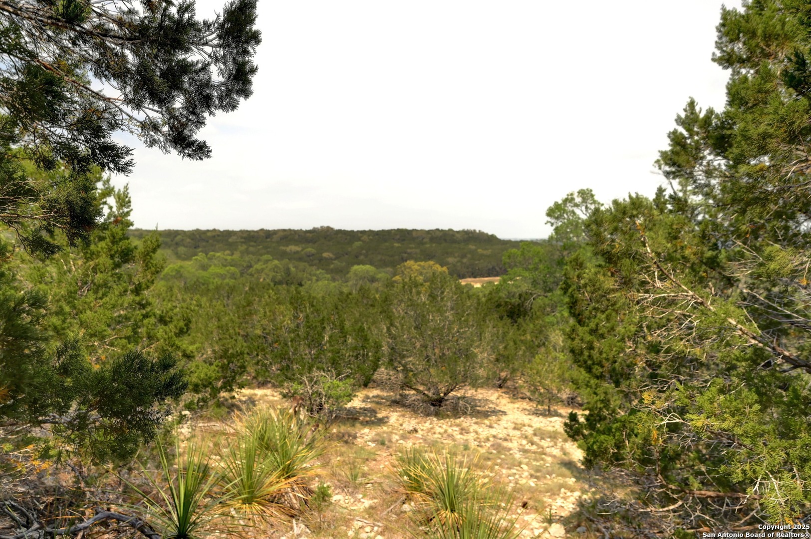 2231 San Jose Canyon Lake TX 78133