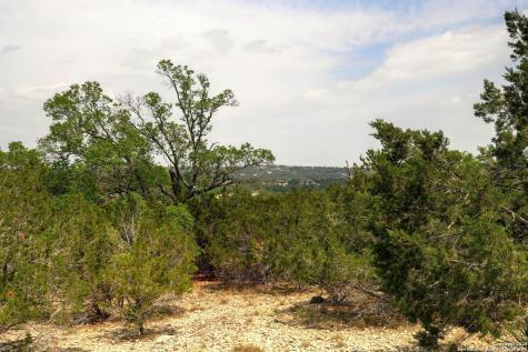 2231 San Jose Canyon Lake TX 78133