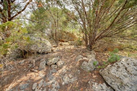 2231 San Jose Canyon Lake TX 78133