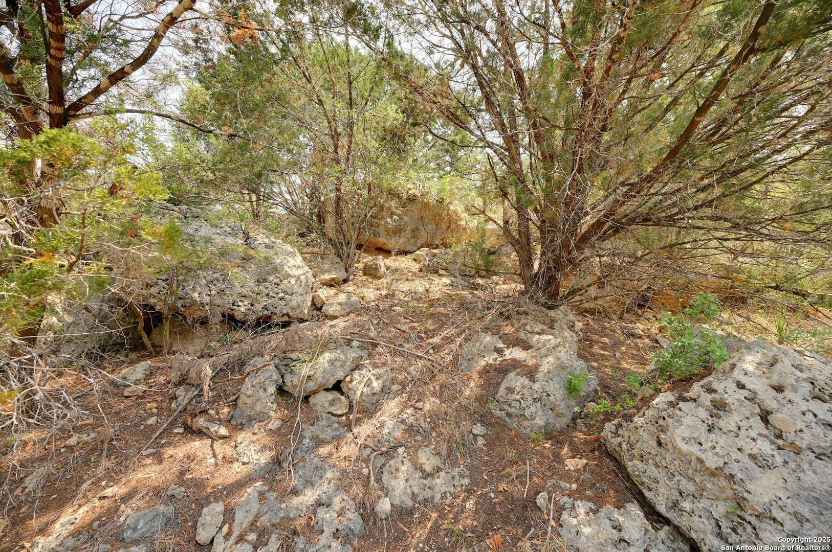 2231 San Jose Canyon Lake TX 78133