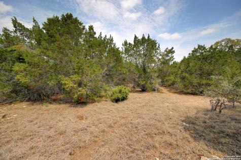 2231 San Jose Canyon Lake TX 78133