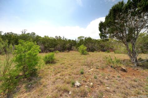 2231 San Jose Canyon Lake TX 78133