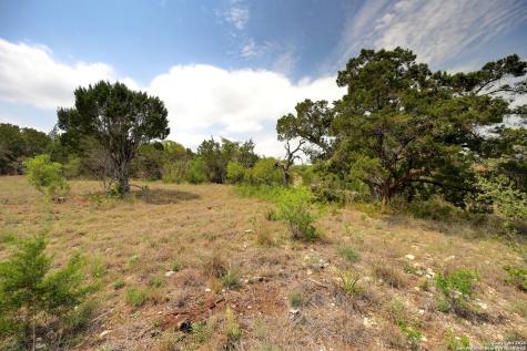 2231 San Jose Canyon Lake TX 78133