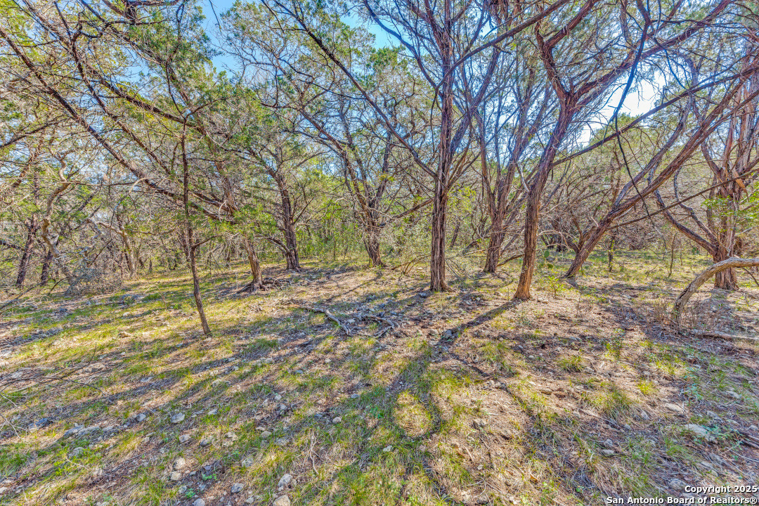 374 Private Road 1742 Mico TX 78056