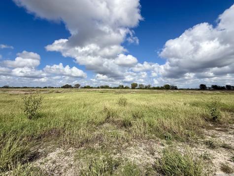 29.53 Acres Sh-72 Kenedy TX 78119
