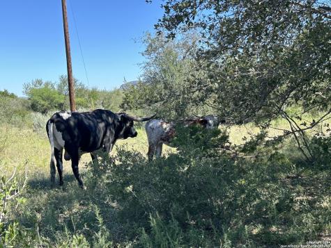 Lot 8 290 On The Nueces/state Highway 55 Uvalde TX 78801