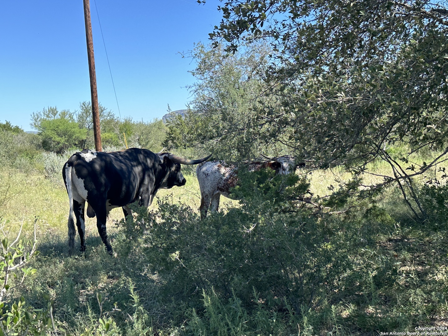 Lot 8 290 On The Nueces/state Highway 55 Uvalde TX 78801