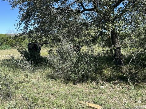 Lot 8 290 On The Nueces/state Highway 55 Uvalde TX 78801