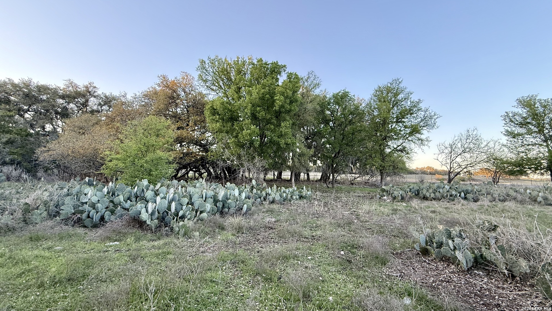 638 Cool Spring Drive Spring Branch TX 78070
