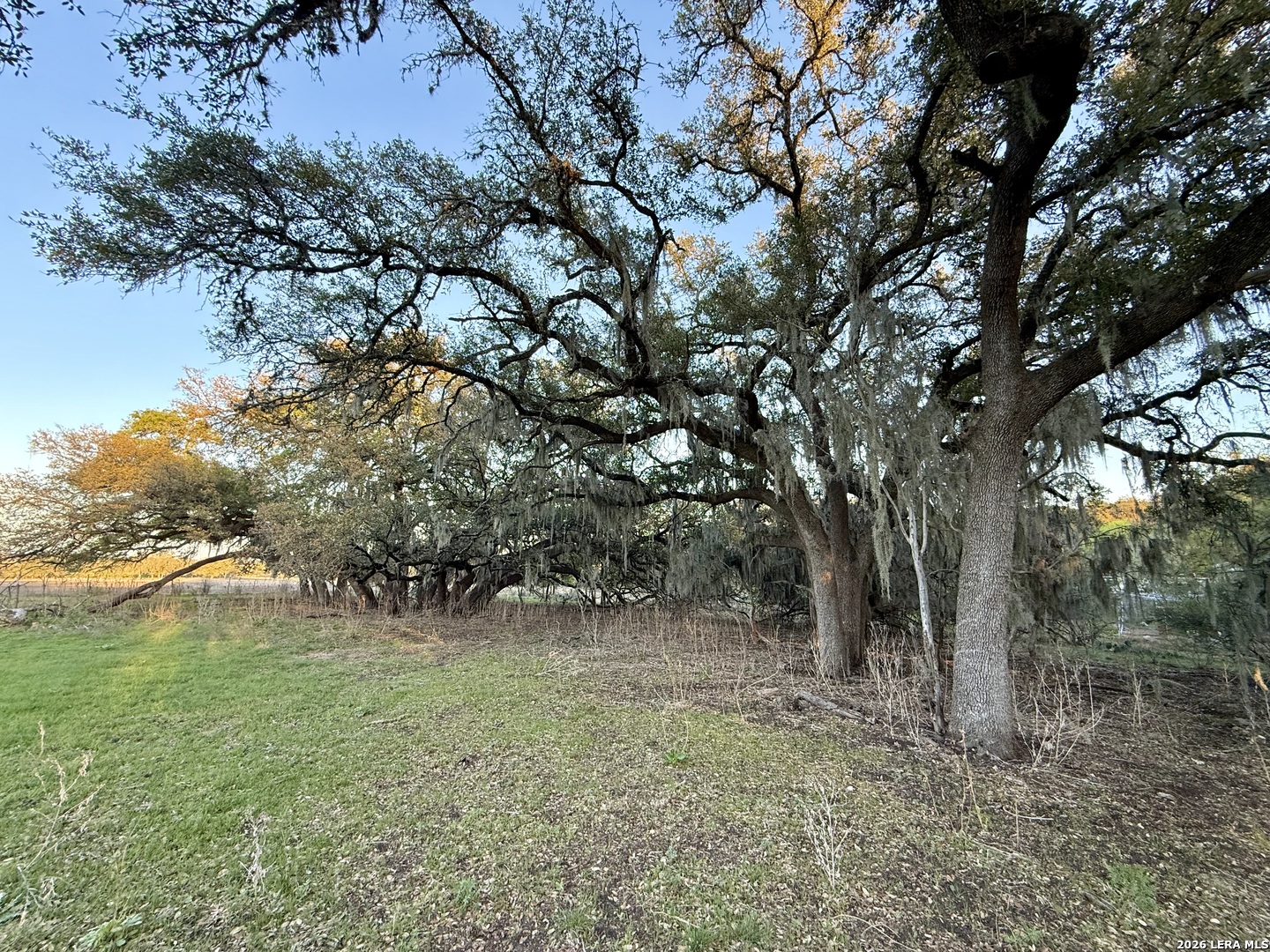 638 Cool Spring Drive Spring Branch TX 78070