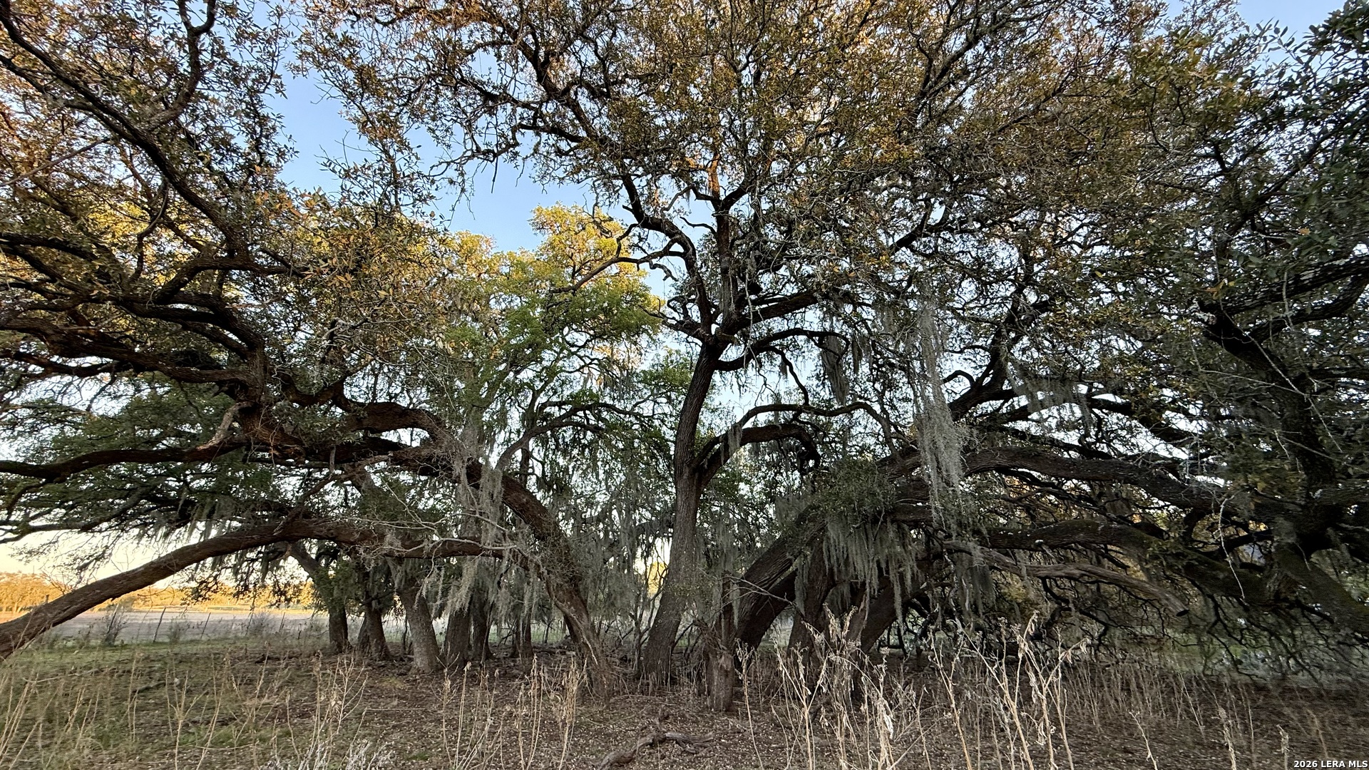 638 Cool Spring Drive Spring Branch TX 78070