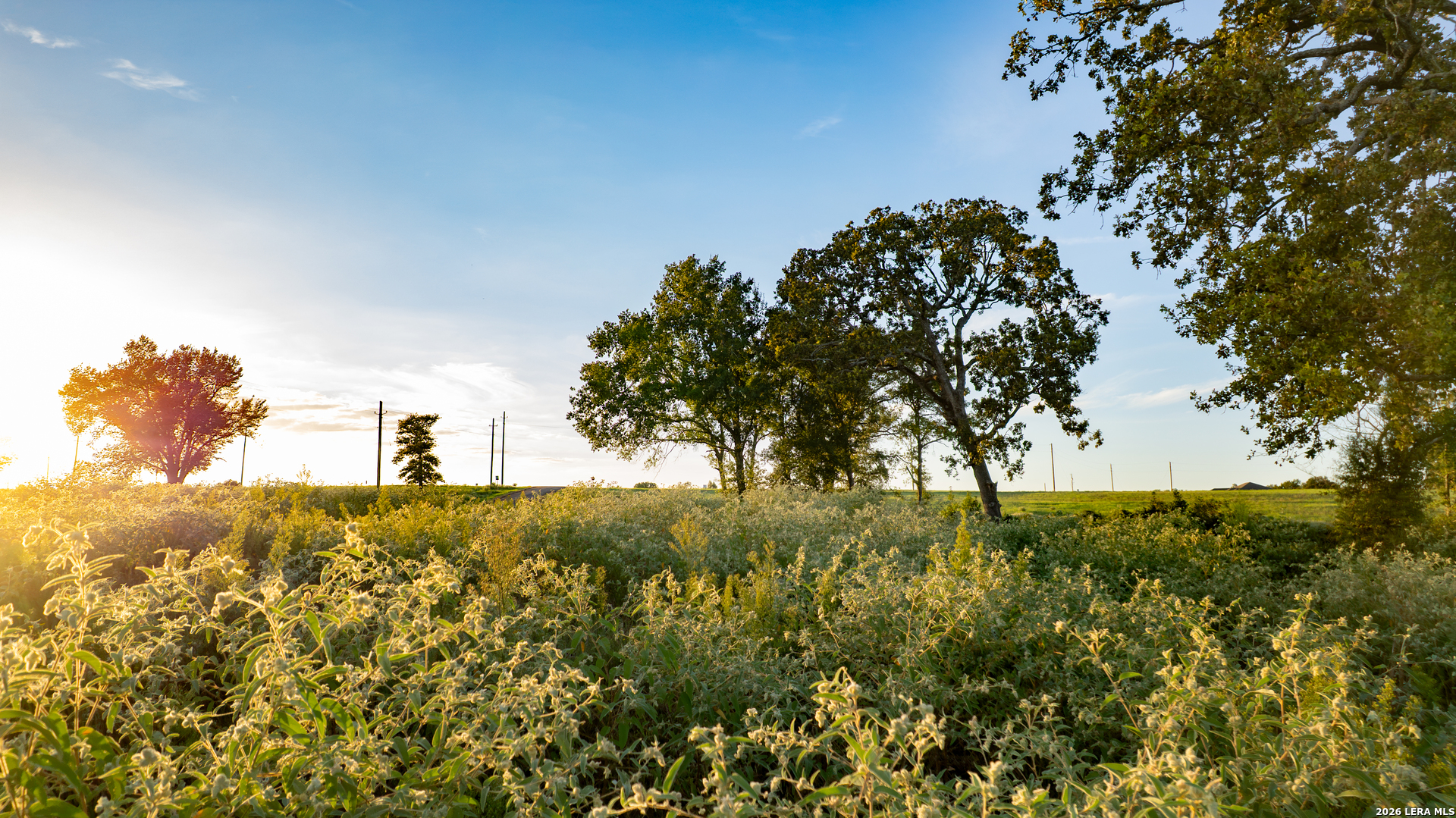 3803 Private Road 4173 Marquez TX 77865
