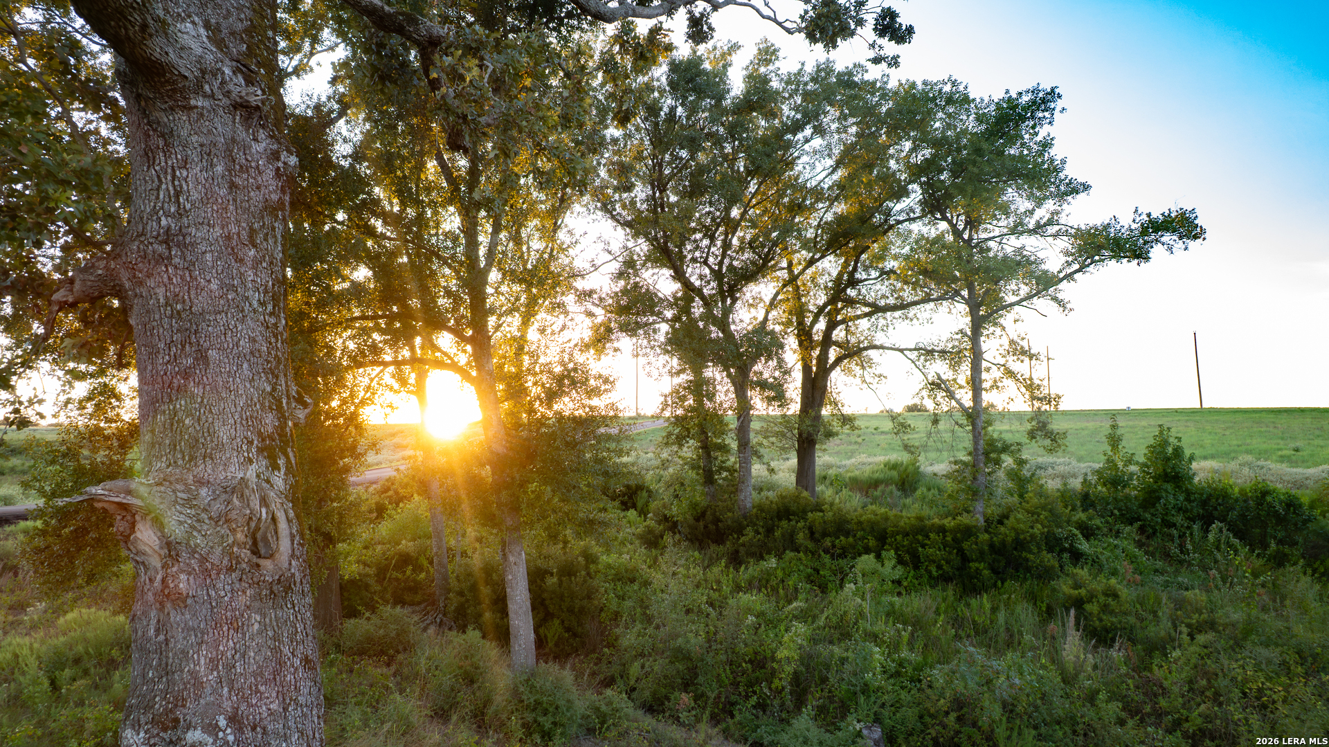 3803 Private Road 4173 Marquez TX 77865
