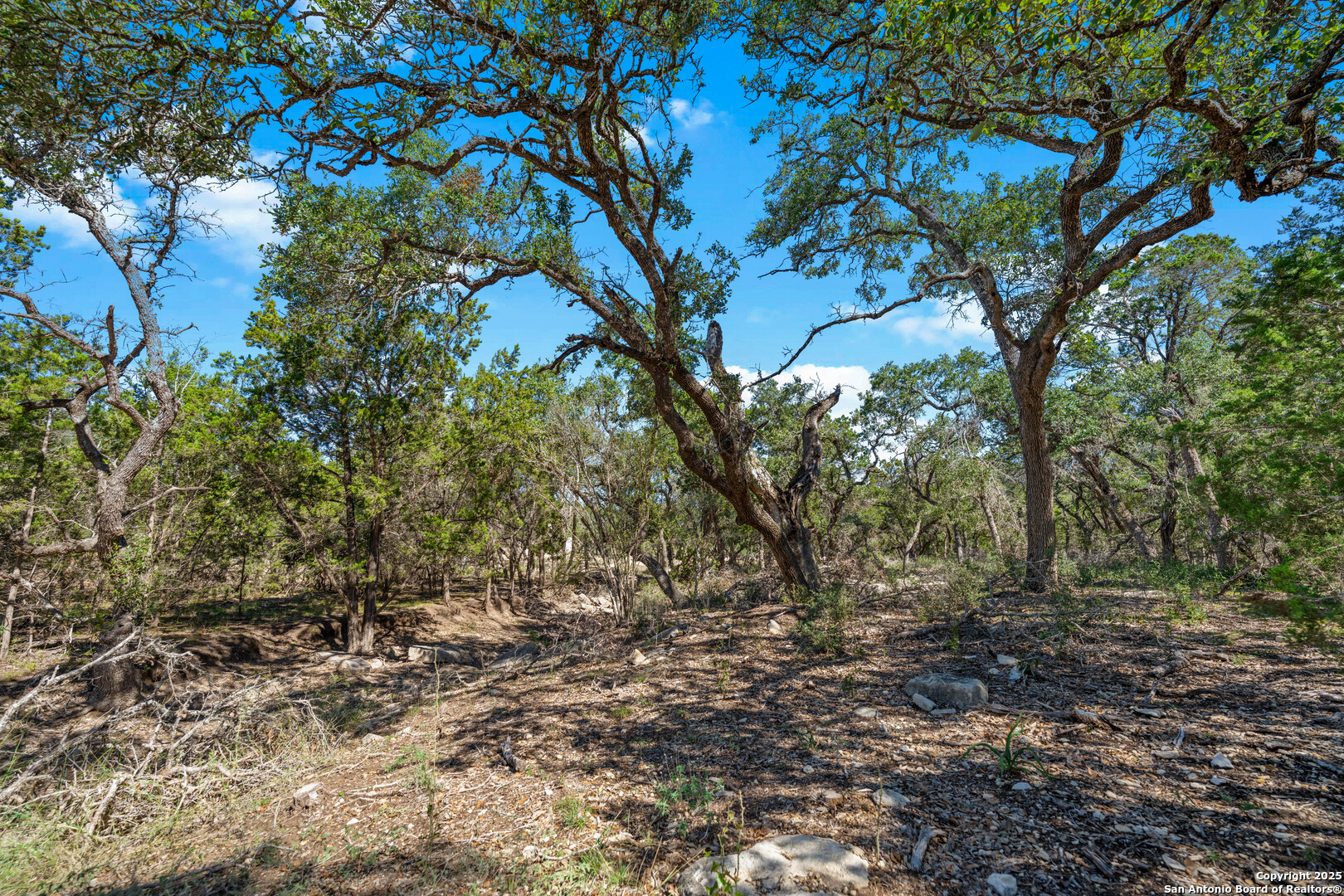 34720 Ansley Ridge Bulverde TX 78163
