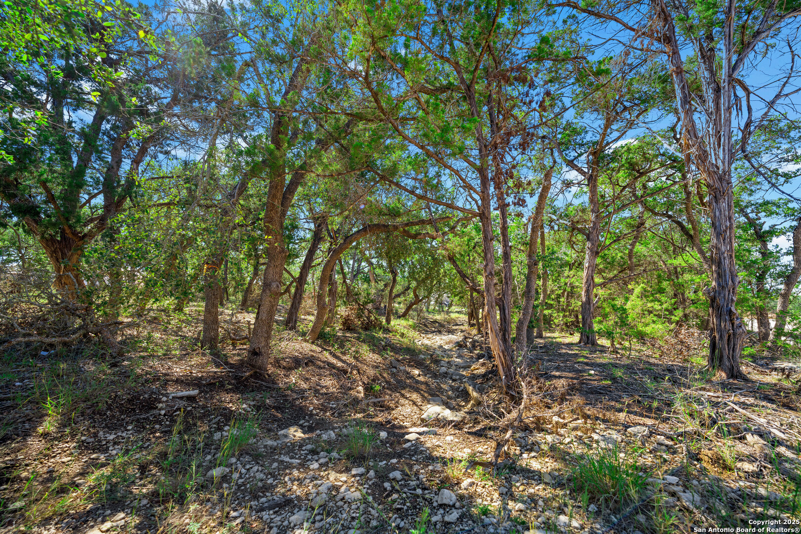 34720 Ansley Ridge Bulverde TX 78163