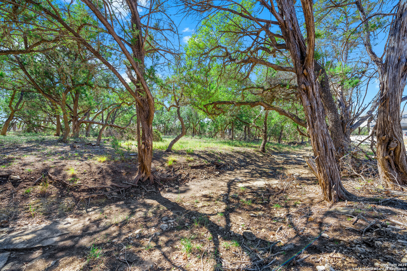 34720 Ansley Ridge Bulverde TX 78163
